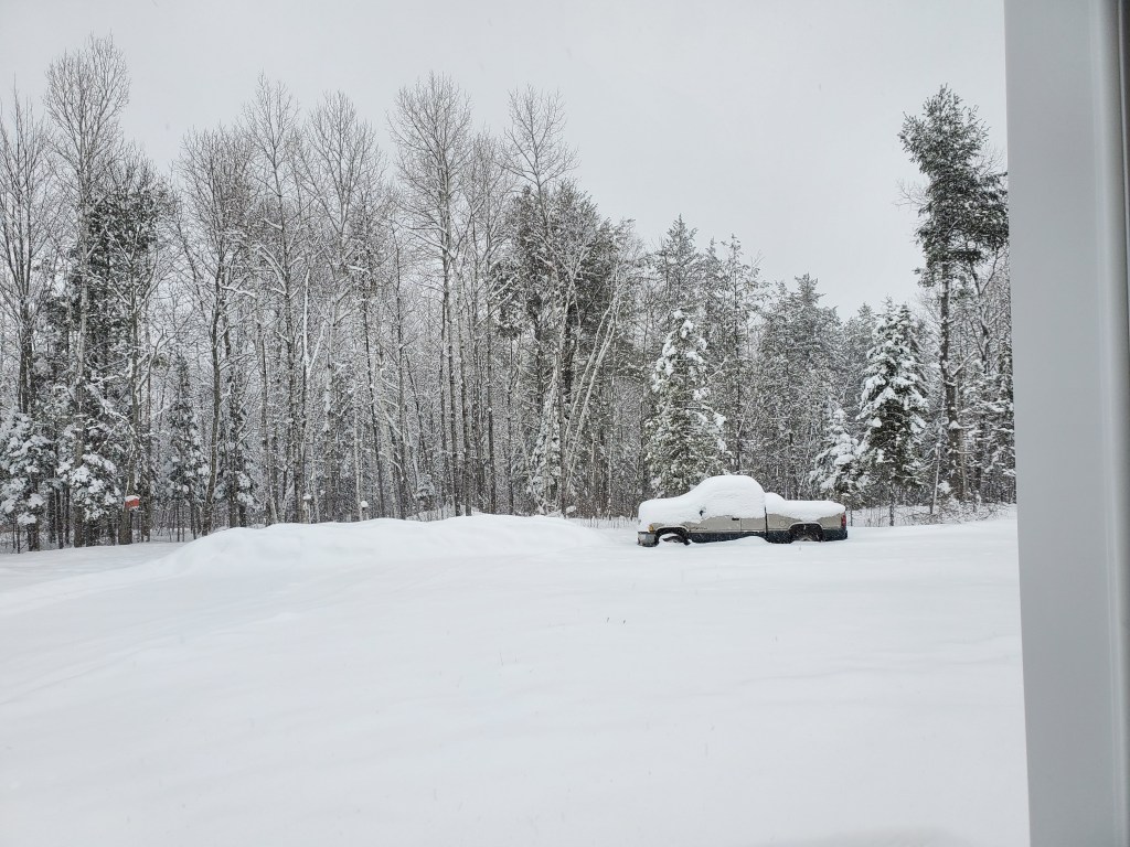 Day 33 – Snow&nbsp;Day