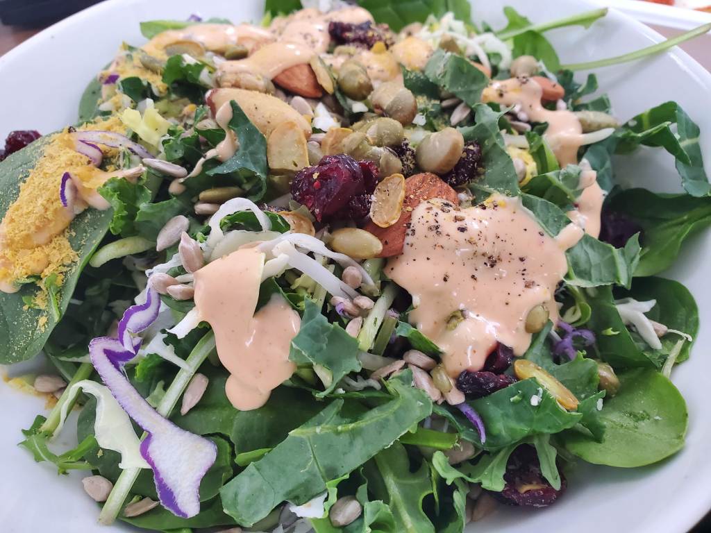 Day 43 – Gratitude for this&nbsp;Life